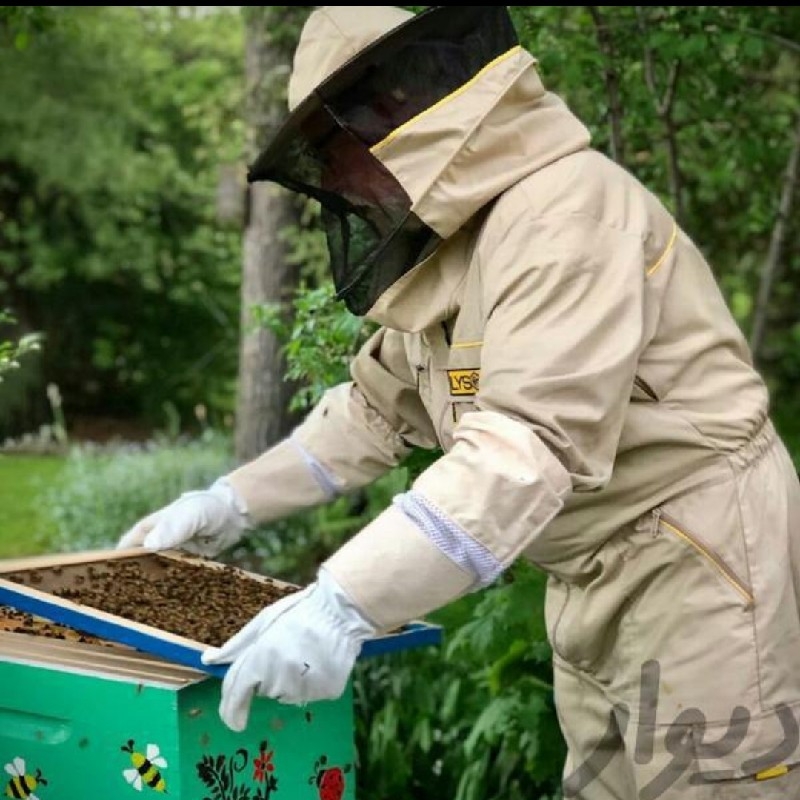 کارگاه آموزشی پرورش زنبور عسل و زهرگیری