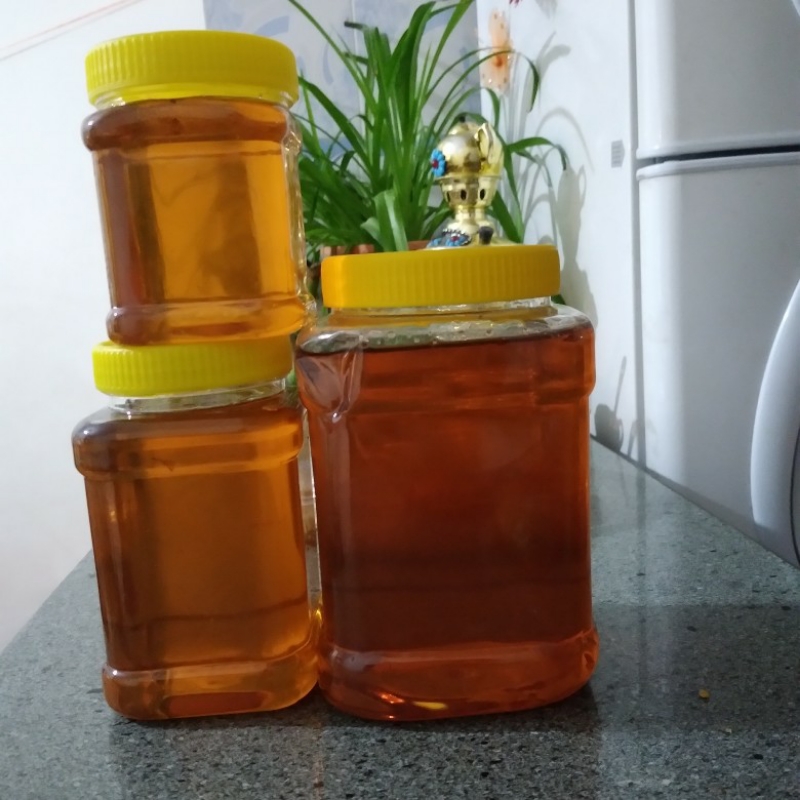 عسل طبیعی چیچکلو