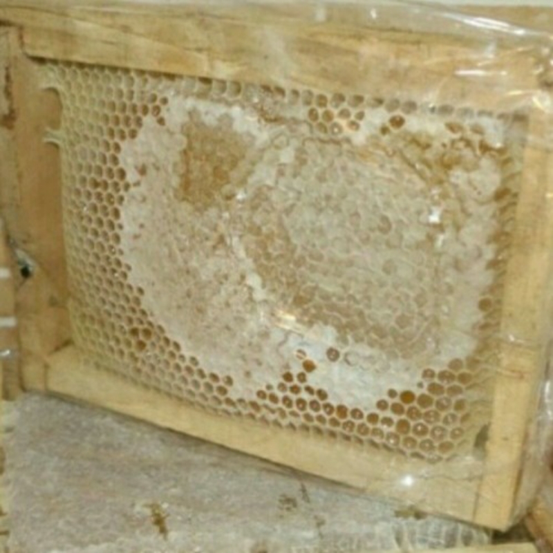 فروش محصولات زنبورستان  عسل ژل گرده کلونی ملکه کارنیکا