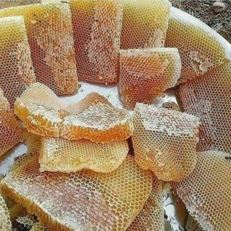 تولید عسل طبیعی      تیموری